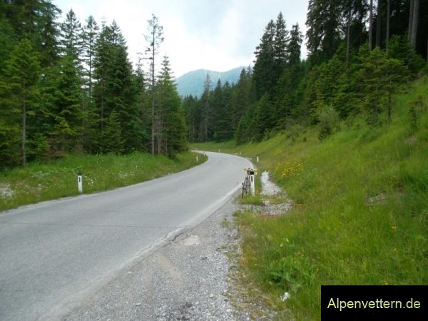 Der höchste Punkt des Ammersattel liegt mitten im Wald, leider ohne Schild